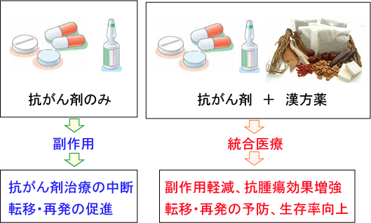 抗がん剤と漢方薬を併用した統合医療