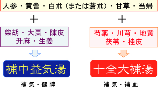 補中益気湯と十全大補湯の違い