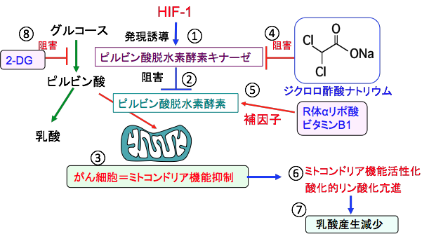 がんのアルカリ療法