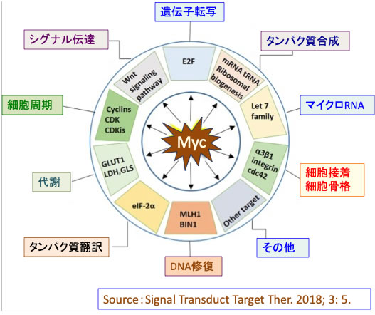 解糖系の中間代謝産物