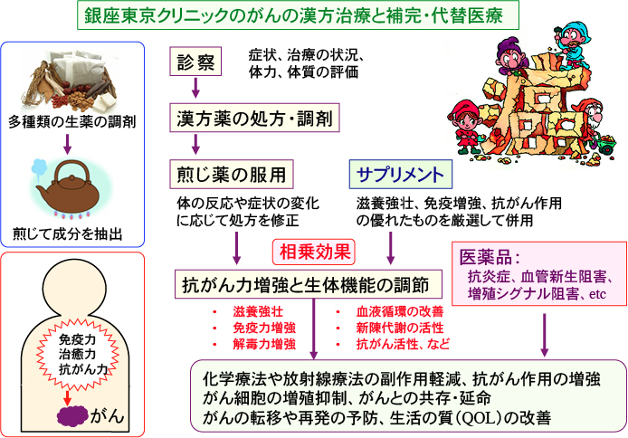 銀座東京クリニックのがんの漢方治療と補完・代替医療