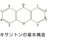 キサントンの基本構造