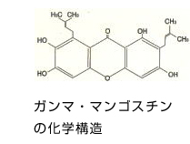 ガンマ・マンゴスチンの化学構造