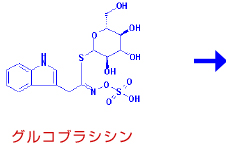 グルコブラシシン