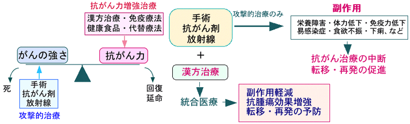 がんの統合医療：漢方治療